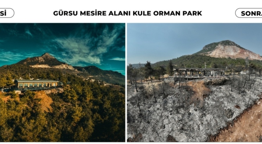 Gürsu'nun yanmadan önce ve yandıktan sonraki görüntüleri...