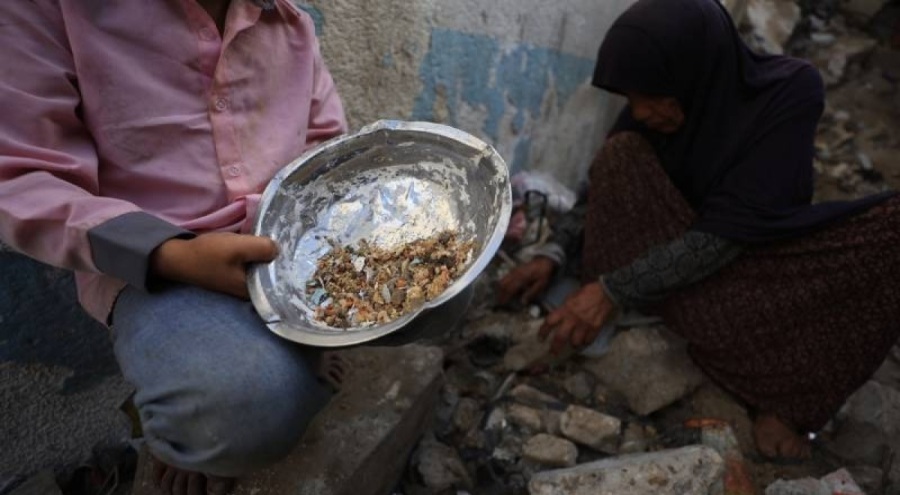 Gazze'de son 24 saatte biri çocuk 7 kişi açlıktan hayatını kaybetti