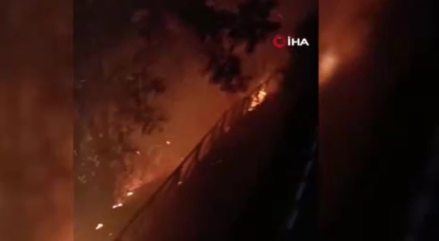 Bursa'da havai fişek atanlara ders gibi ceza! 50'şer ağaç dikecekler