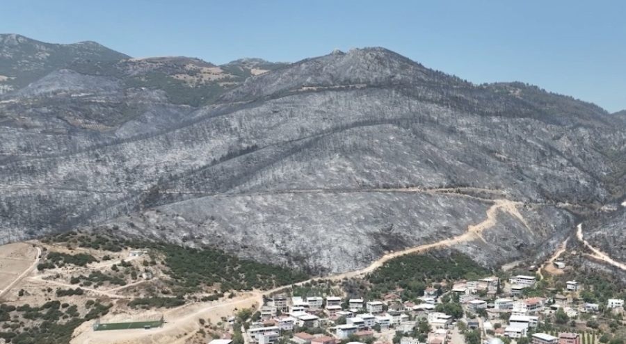 Yeşil Bursa'nın yemyeşil ormanları yangında böyle karardı