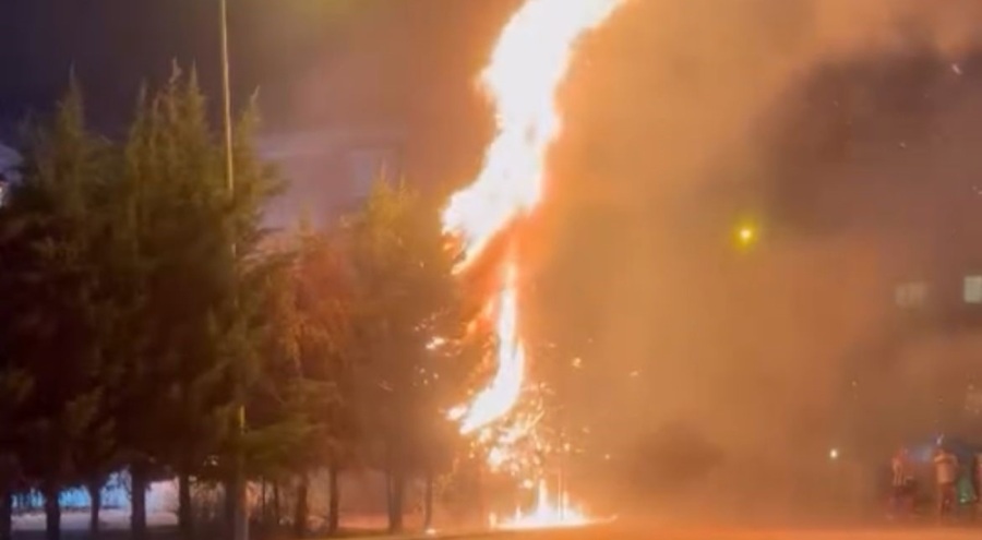 Bursa'da çocukların torpille oyunu ağaçlık alanı tutuşturdu!