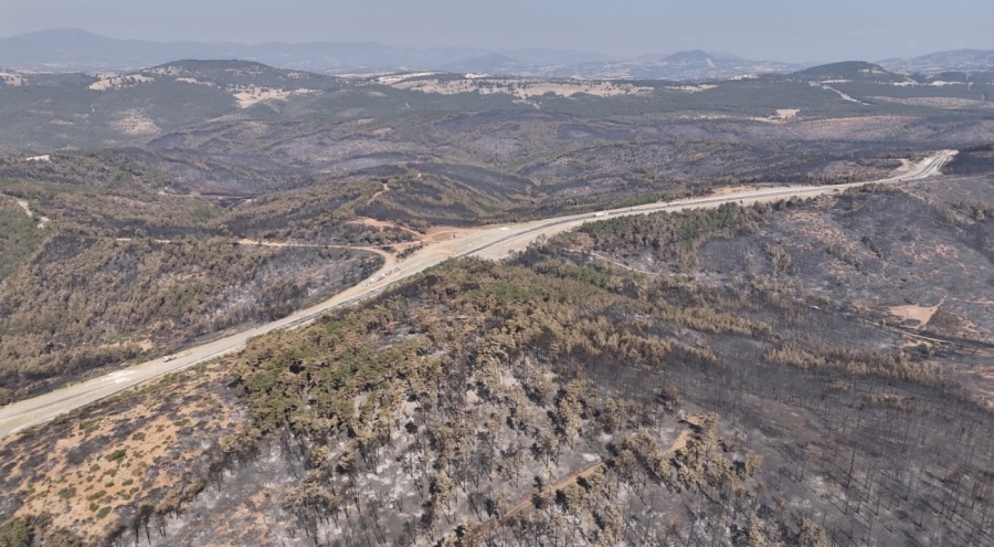 Bursa'daki yangında yaralanan 3 ormancının tedavileri tamamlandı