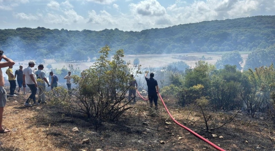 Kırklareli'nde çıkan orman yangını söndürüldü