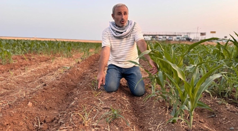 İki tohum arasındaki büyüme farkı çiftçiyi kızdırdı: "Konuyu mahkemeye taşıyacağım"