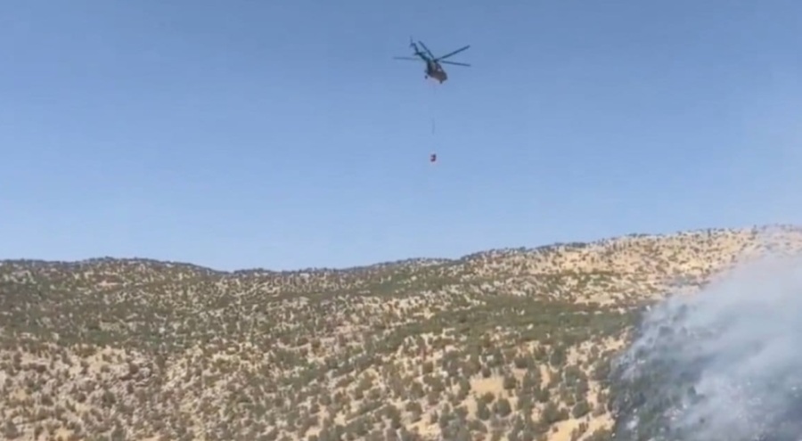 Şırnak'taki orman yangını kontrol altında