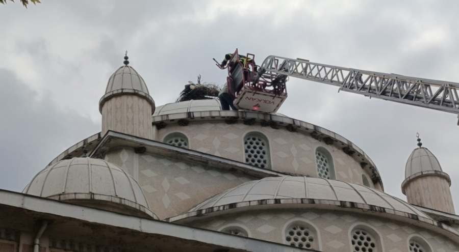 Bursa'da cami kubbesinde mahsur kalan leyleği itfaiye kurtardı