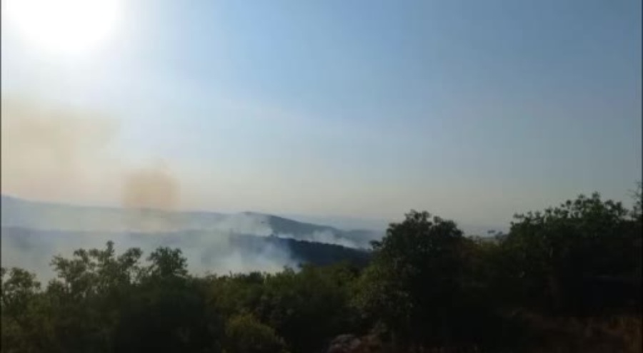 Balıkesir'de arazi yangını