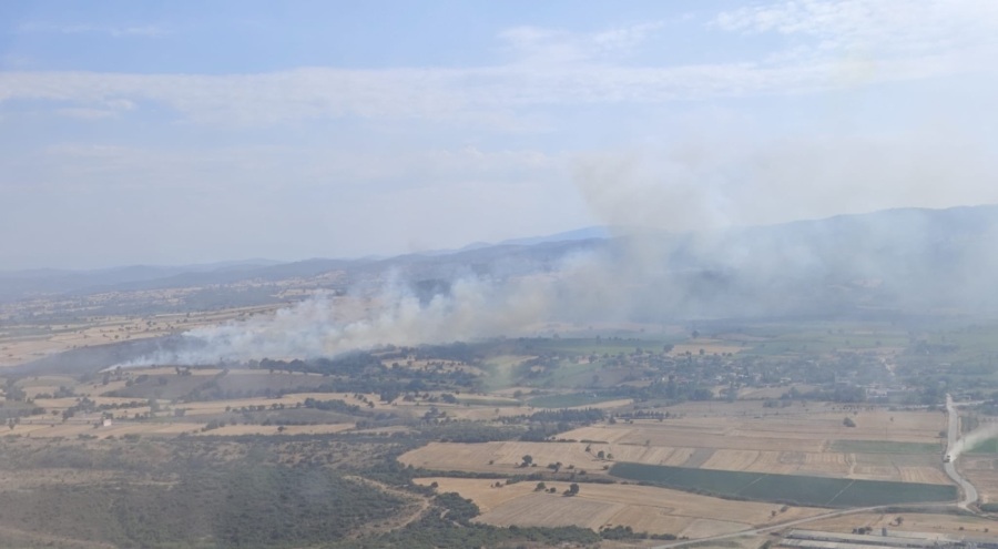 Tarım arazisinde yangın