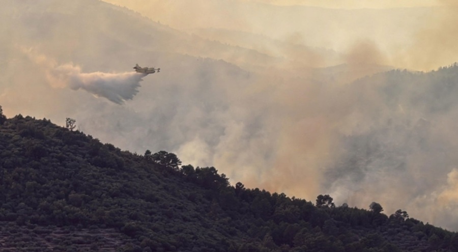 Portekiz'de orman yangını alarmı! 4 nokta alev alev yanıyor