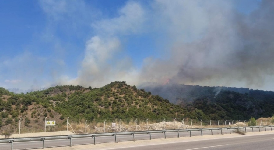 Tokat'ta orman yangını