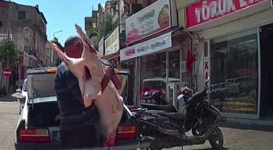 Otomobil bagajında et taşıdılar