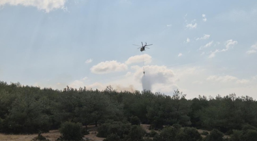 Edirne'de orman yangını!