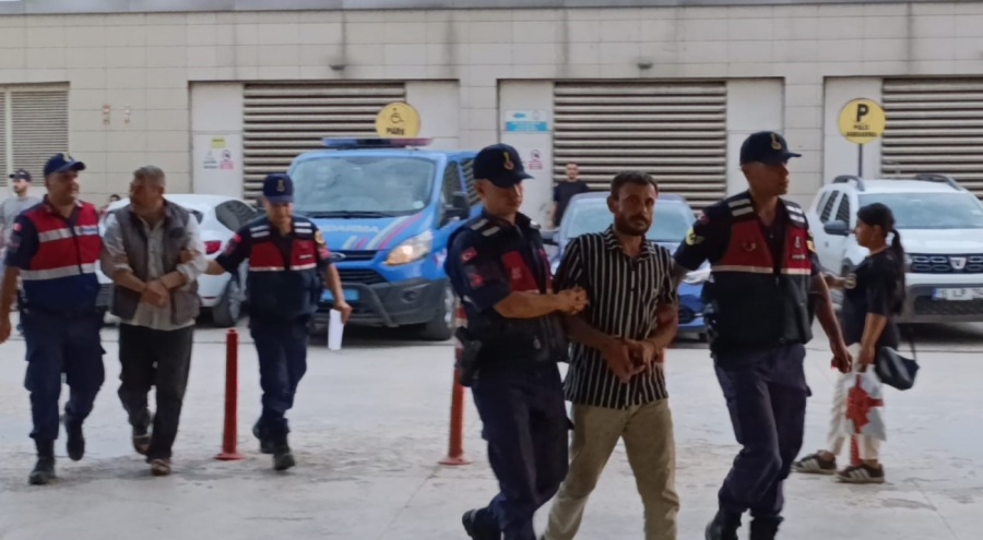 Bursa'da evde kenevir yetiştiren şahıslar yakalandı
