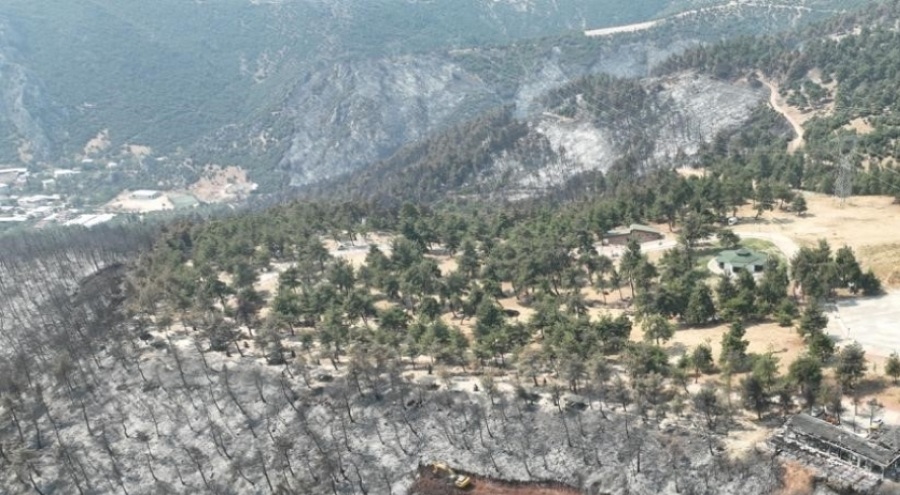 Gürsu kır lokantası ve terası yangın faciasının küllerinden temizlendi