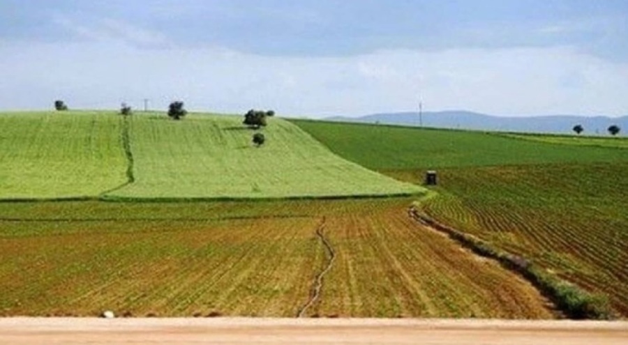 Ekilmeyen tarla kiralanacak