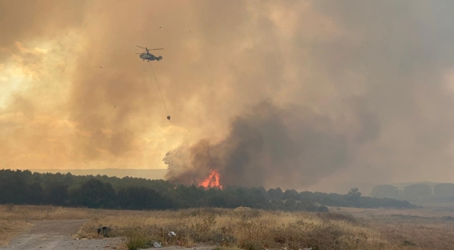 Çanakkale'de orman yangını!