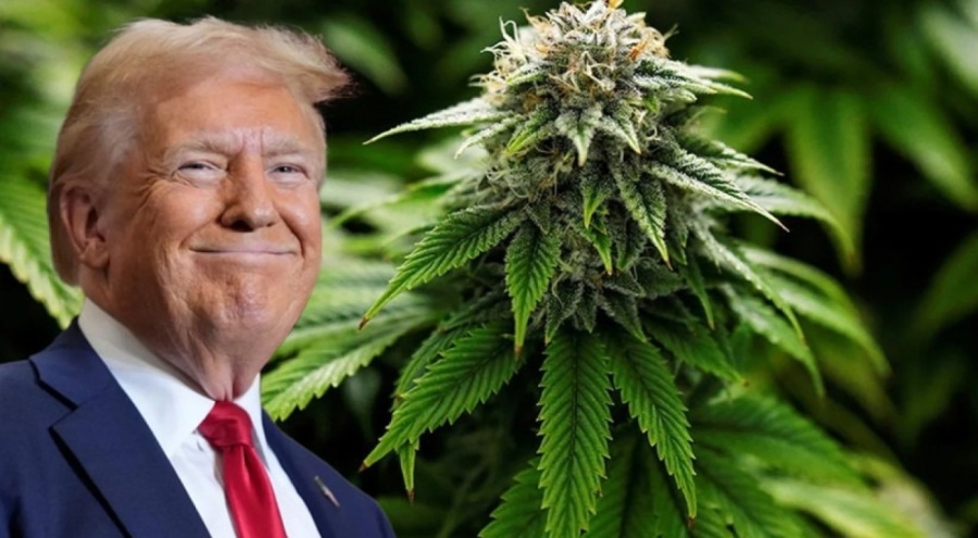 Trump'tan her şeyi değiştirecek 'esrar' kararı