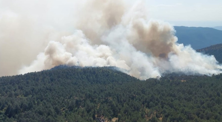 Sinop'ta orman yangını! Bir köy tahliye edildi