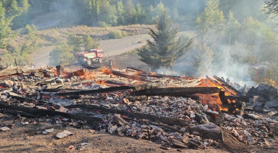 Kastamonu'da bir orman yangını daha!