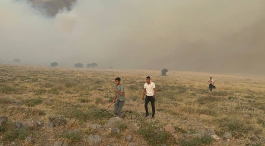 Tarlada çıkan yangın ormana sıçradı!