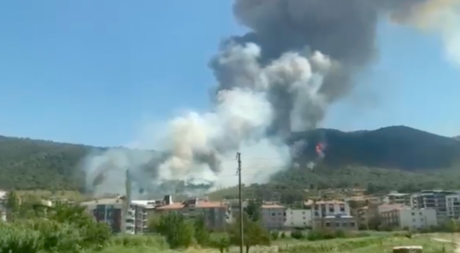 Manisa Soma'da orman yangını