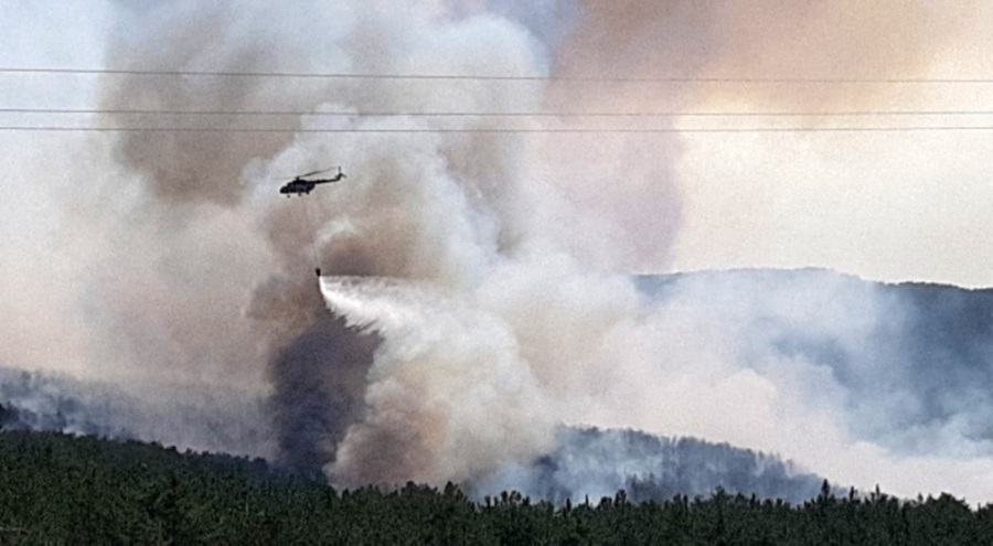 Bolu'daki orman yangınına müdahale sürüyor