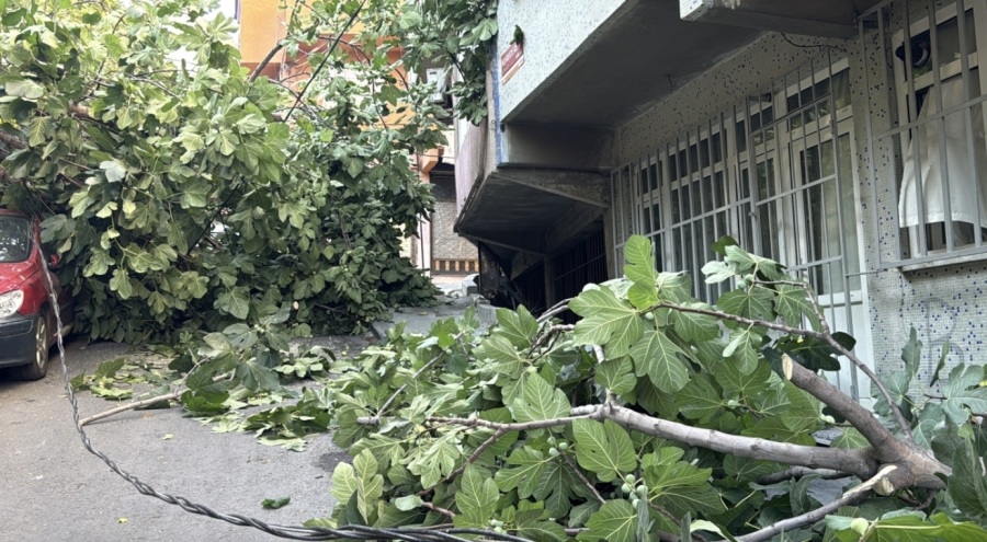 ağaç ve elektrik direği araçların üzerine devrildi