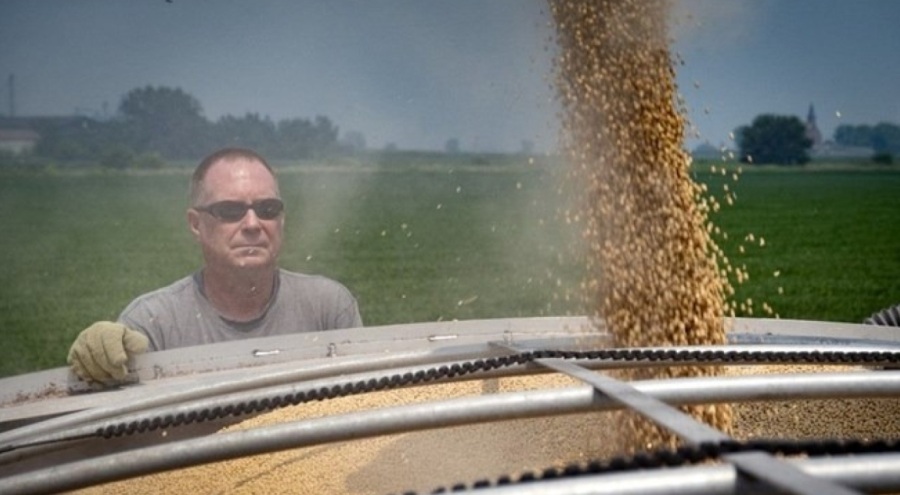 Trump yine sahnede! Tek mesajla fiyatları arttırdı