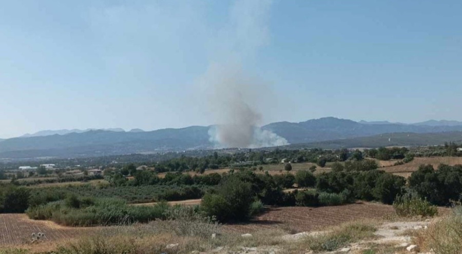 Osmaniye'de orman yangını çıktı