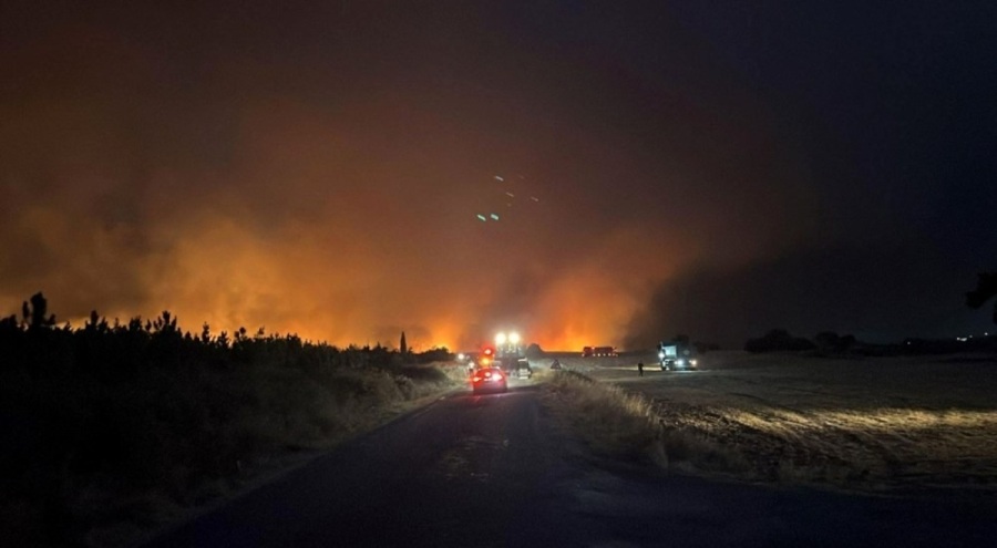 Çanakkale'de ve Edirne'de büyük mücadele! Ormanlar alev alev yanıyor...