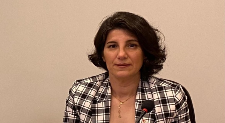 BVHO: "Veteriner fakülteleri yol geçen hanı olmamalı"