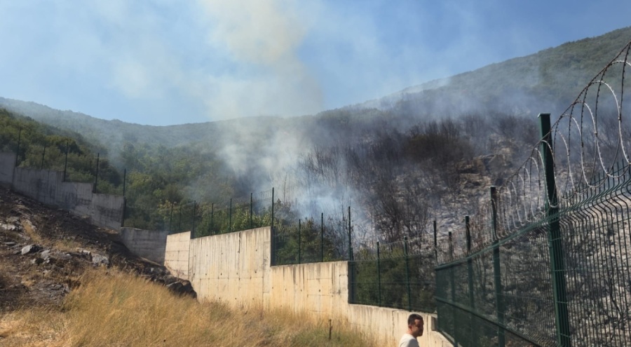 Bursa'da makilik alanda yangın!
