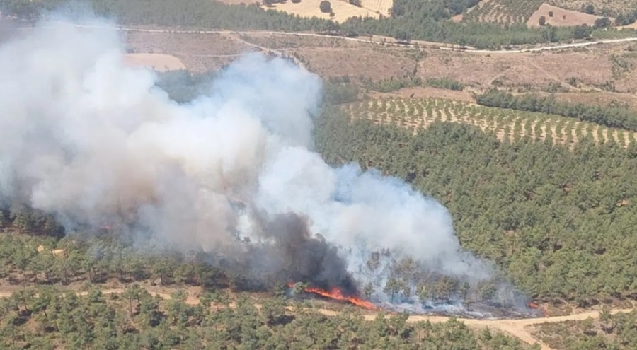 Çanakkale'de yangın kabusu yeniden başladı: Kazdağları tehdit altında!