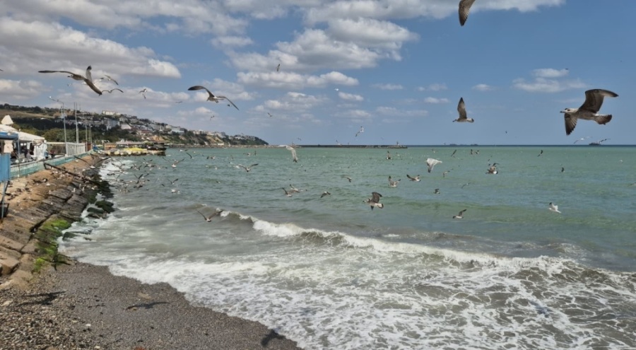 Tekirdağ'da poyraz deniz ulaşımını aksattı