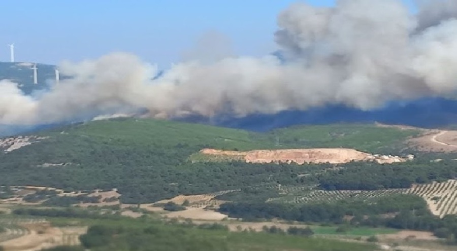 Manisa'da yangınlarıyla ilgili 2 kişi tutuklandı