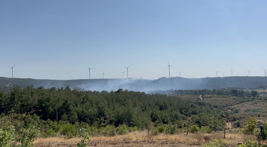 Çanakkale'deki orman yangını kontrol altında