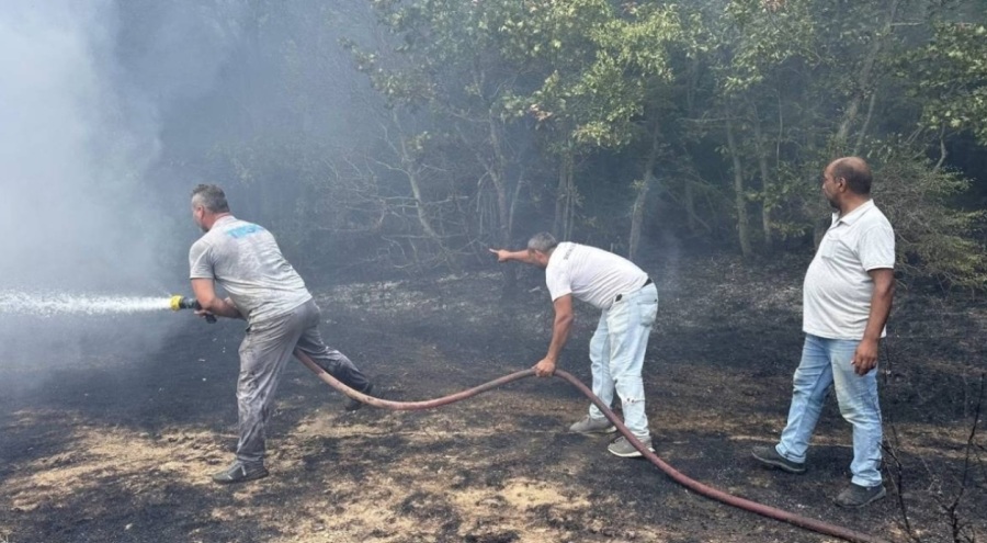 Kırklareli'deki orman yangını söndürüldü