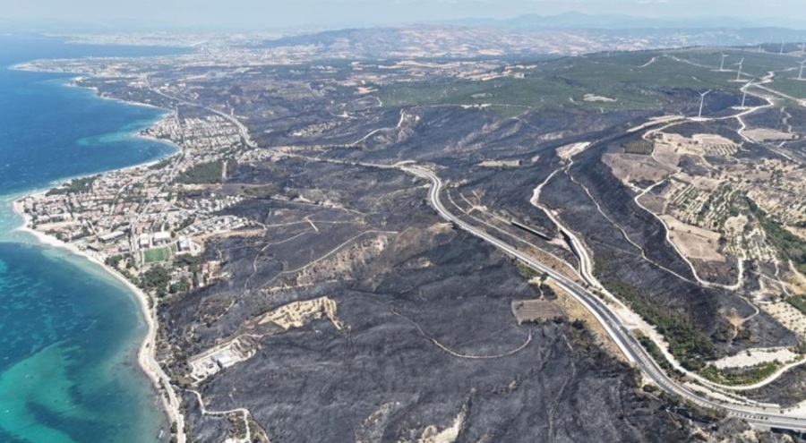 Çanakkale'deki yangından geriye bu manzara kaldı