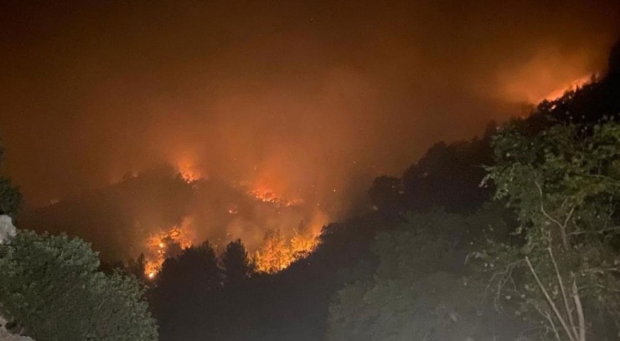 Mersin'de orman yangını