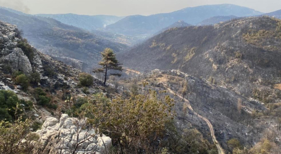 Mersin'deki yangın kontrol altına alındı