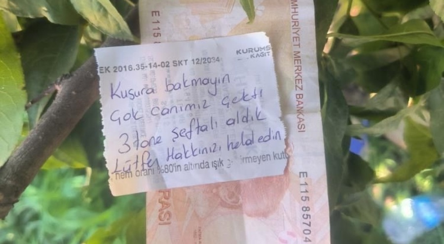 İznik'te şeftali bahçesinde duygulandıran olay: 3 şeftaliye 50 lira ve helallik notu