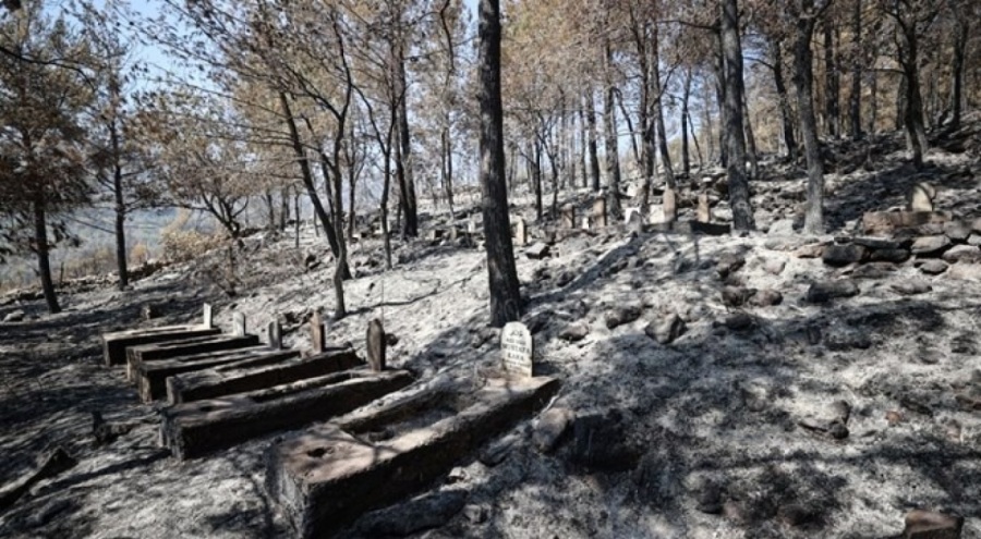 Silifke'deki orman yangını ile ilgili 4 şüpheli tutuklandı