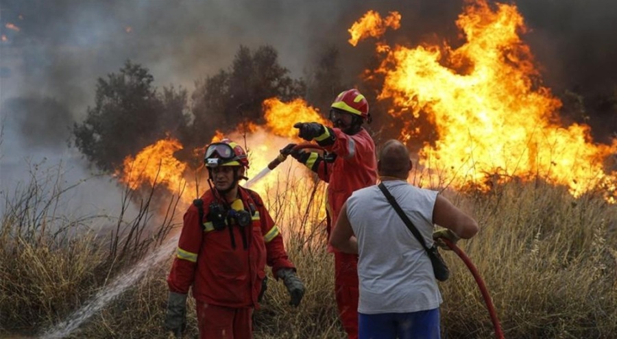 Yunanistan'da son 4 günde 242 orman yangını çıktı