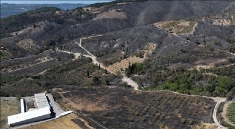 Kocaeli'nde yangından zarar gören yerler havadan görüntülendi