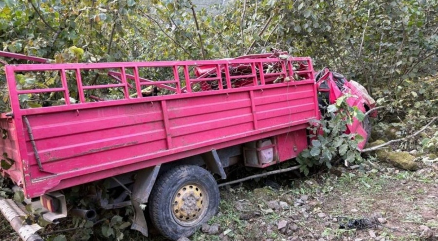 Kamyonet fındık bahçesine yuvarlandı: 4 kişi hayatını kaybetti
