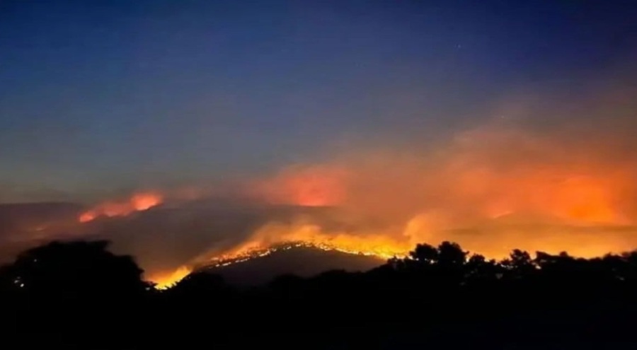 Bakan Yumaklı duyurdu: Kocaeli'nde yangın kontrol altına alındı