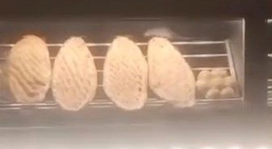 Fırında mide bulandıran görüntü