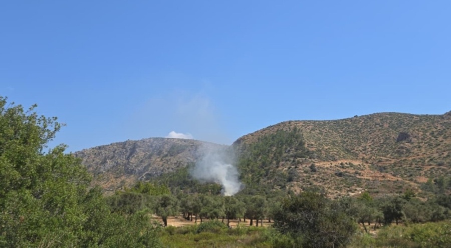 Ev yangını ormana sıçramadan söndürüldü