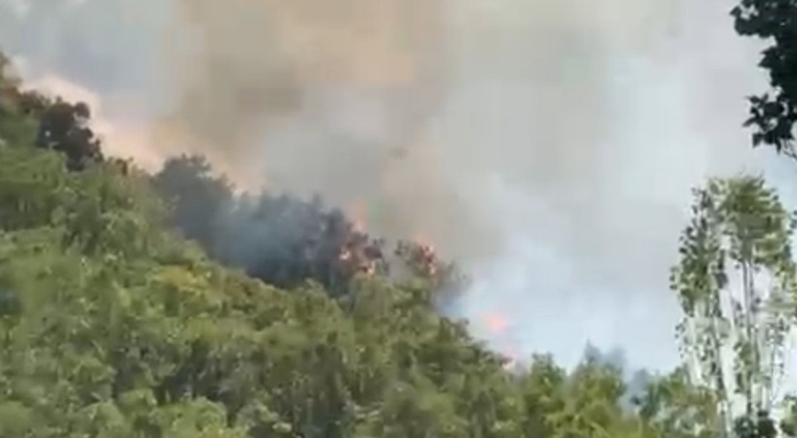 Hakkari'de orman yangını çıktı!