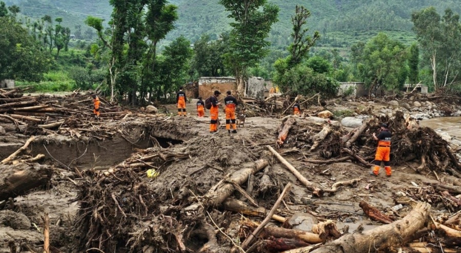 Pakistan'daki muson yağışlarında korkunç bilanço!